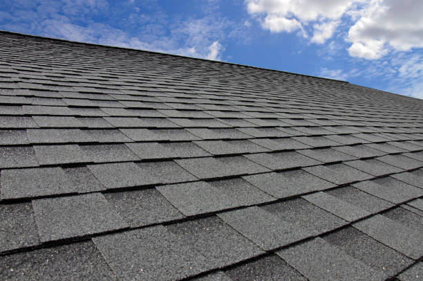 Fast & Reliable Emergency Roof Repairs in Paonia, CO